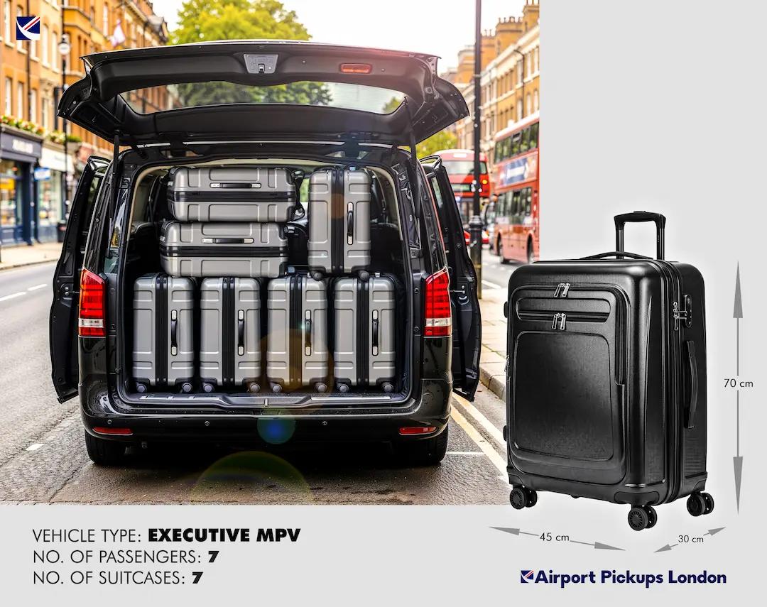 Executive MPV luggage 1